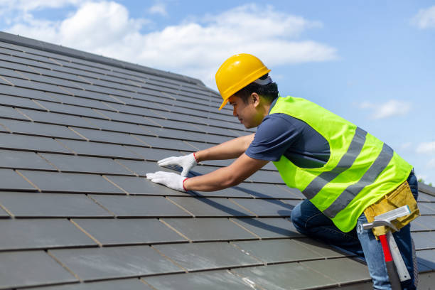 Best Metal Roofing Contractor  in Lake Holm, WA