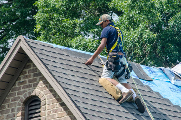 Best Gutter Installation and Roofing  in Lake Holm, WA